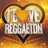Amplifier (Imran Khan Reggaeton Mix)   DJ Ravish